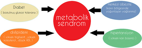 Metabolik Sendrom